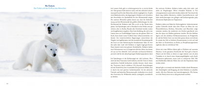 Spitzbergen Eisbären Buch