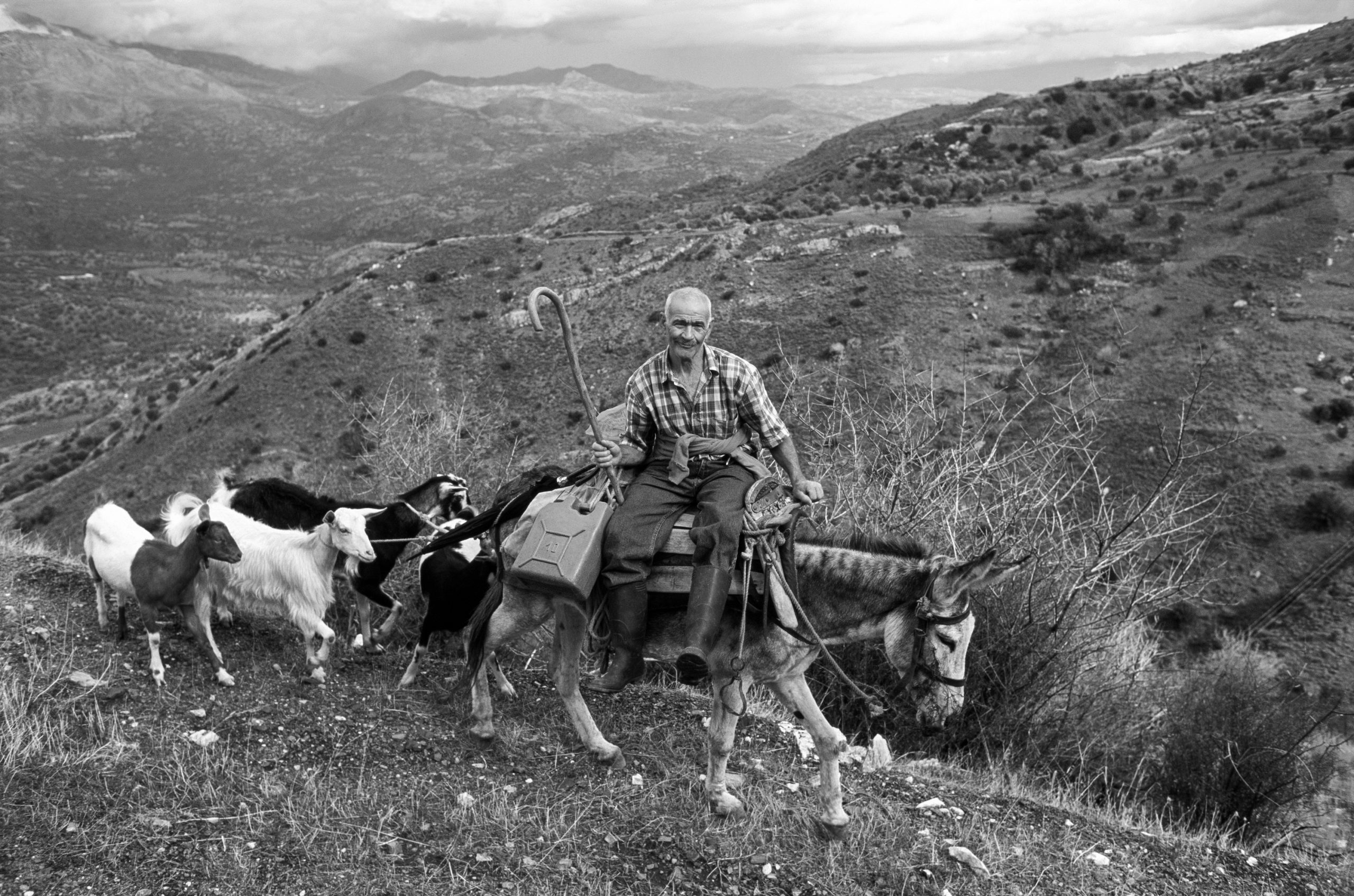 Die Netze für die Olivenernte sind ausgelegt und die Tiere versorgt. Nach vollbrachtem Tagwerk kehrt Jorgos am Abend in sein Dorf zurück. | Foto: Wolfgang Bernauer
